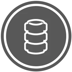Spine Icon Gray
