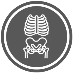 X Ray Icon Gray